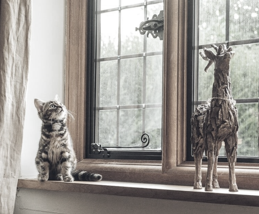 Antique & Vintage Clock Shop | Adelaide Clocks