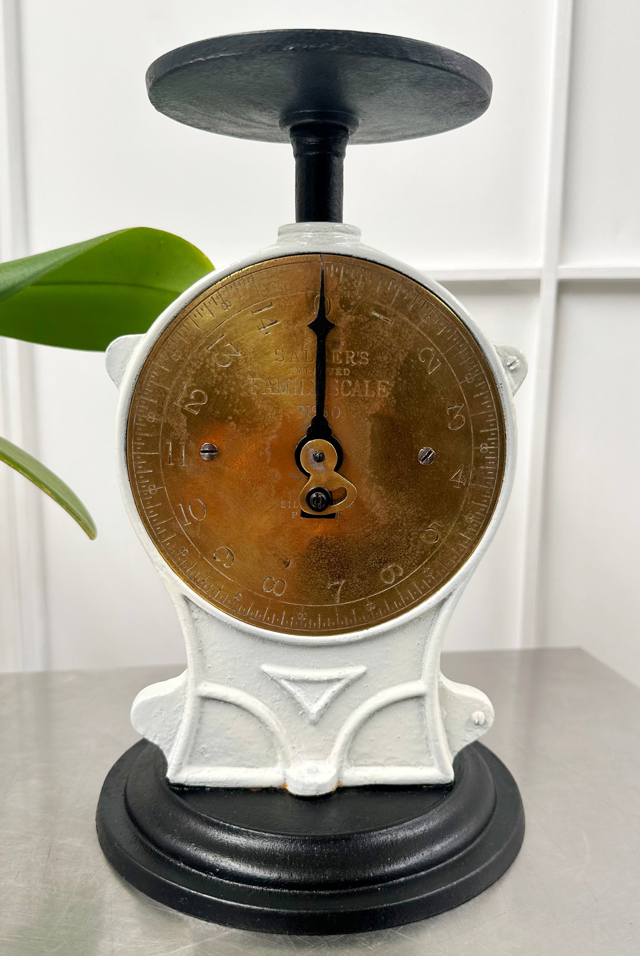 Vintage Cast Iron SALTER Kitchen Scale | Adelaide Clocks