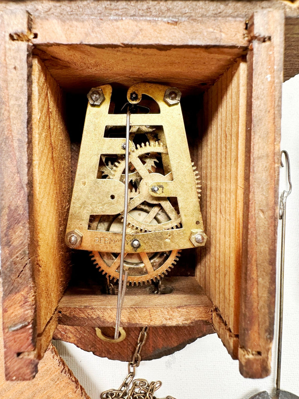 Toggili Cuckoo