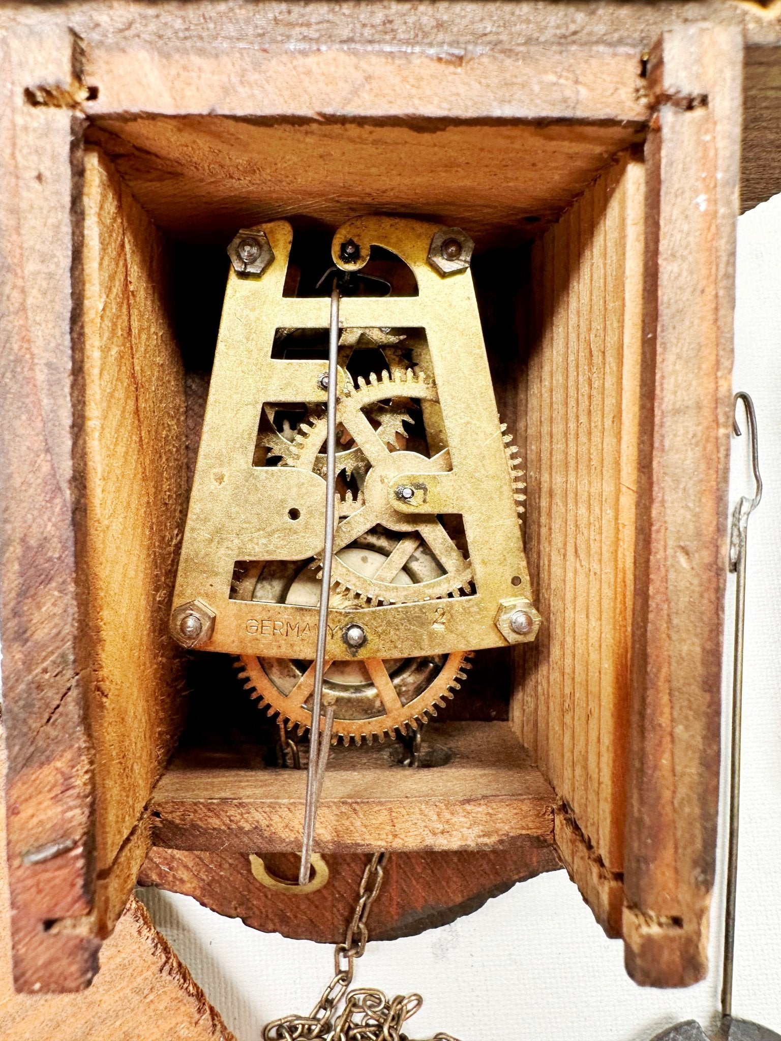 Toggili Cuckoo