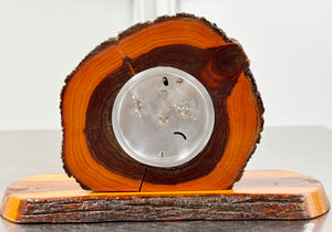 Revox Alarm