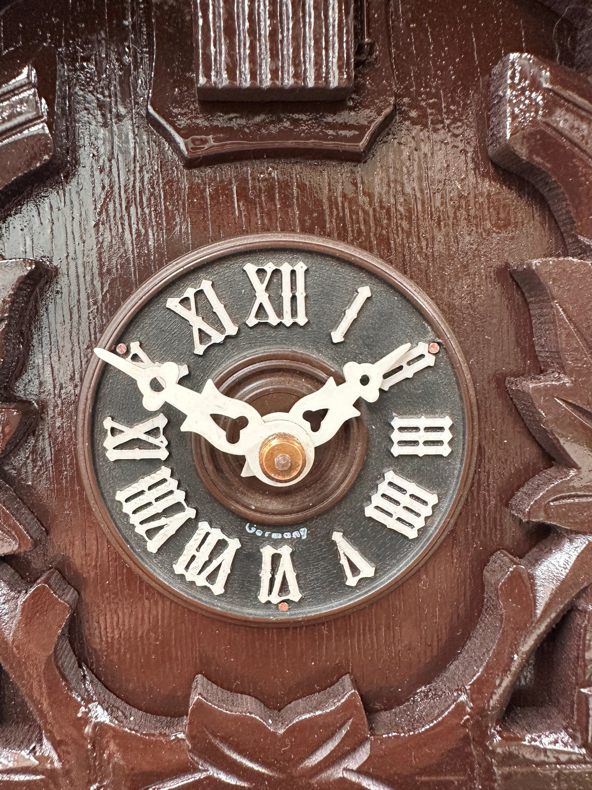 Vintage Black Forest 5 Leaf Cuckoo Bird Chime Wall Clock | Adelaide Clocks