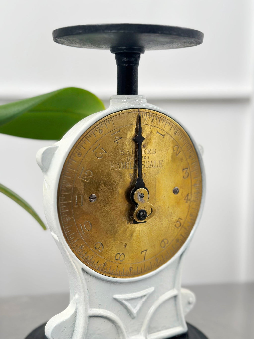 Vintage Cast Iron SALTER Kitchen Scale | Adelaide Clocks