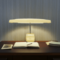 Vintage WYT-RAY Retro Fluoro Gooseneck Desk Lamp | Adelaide Clocks