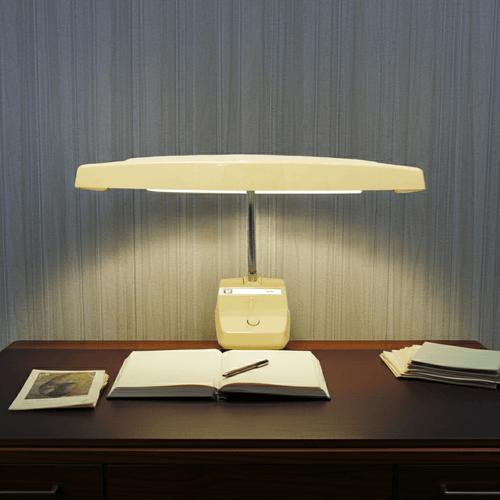 Vintage WYT-RAY Retro Fluoro Gooseneck Desk Lamp | Adelaide Clocks