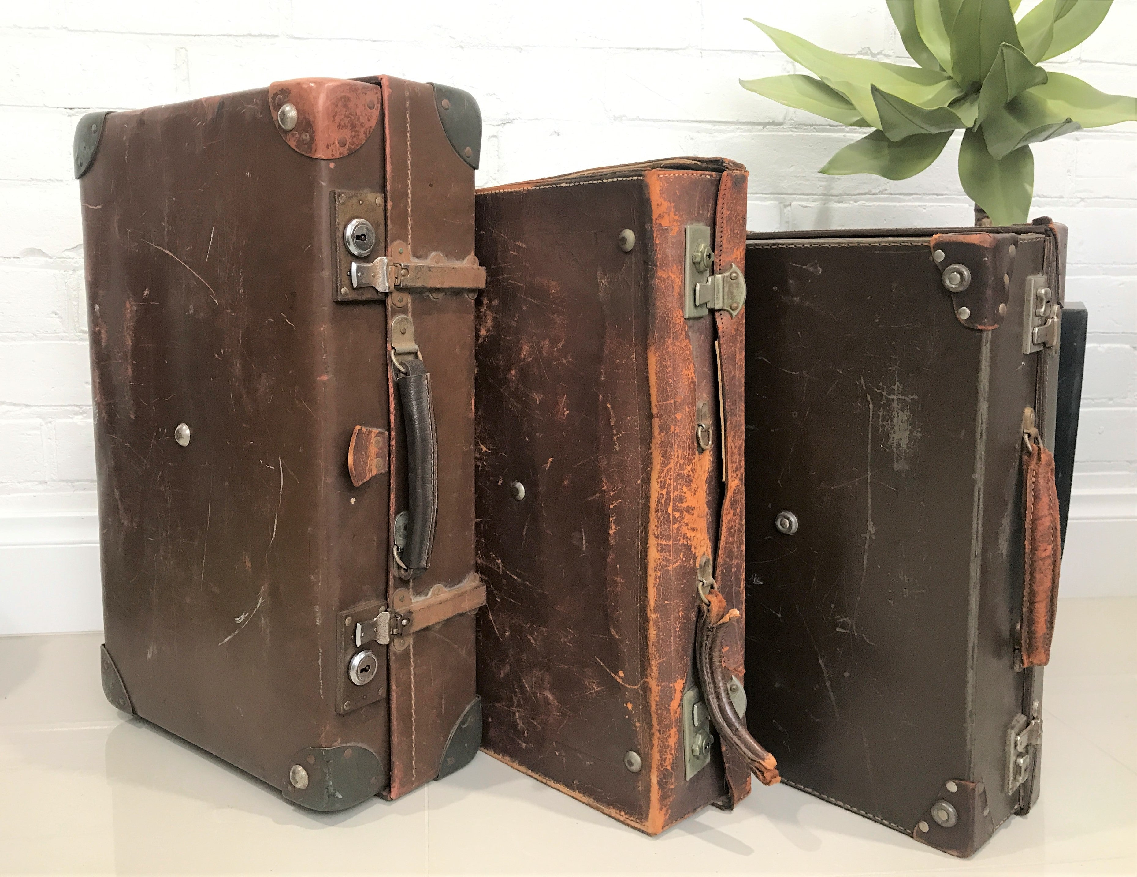 Vintage Travel Suitcase | eXibit collection
