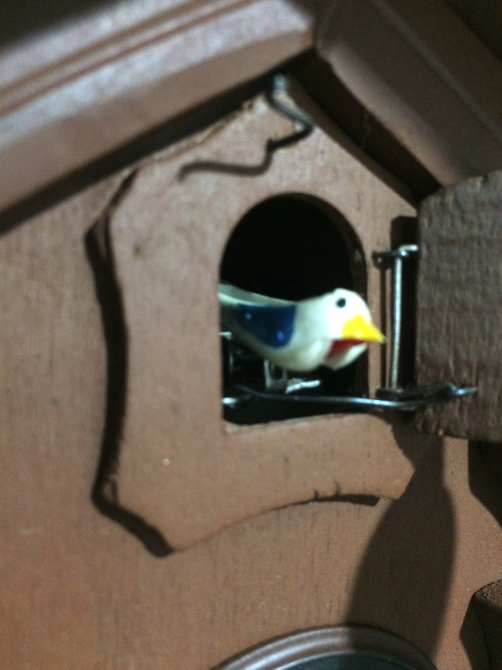 Vintage Black Forest Bird Chime Cuckoo Wall Clock | Adelaide Clocks