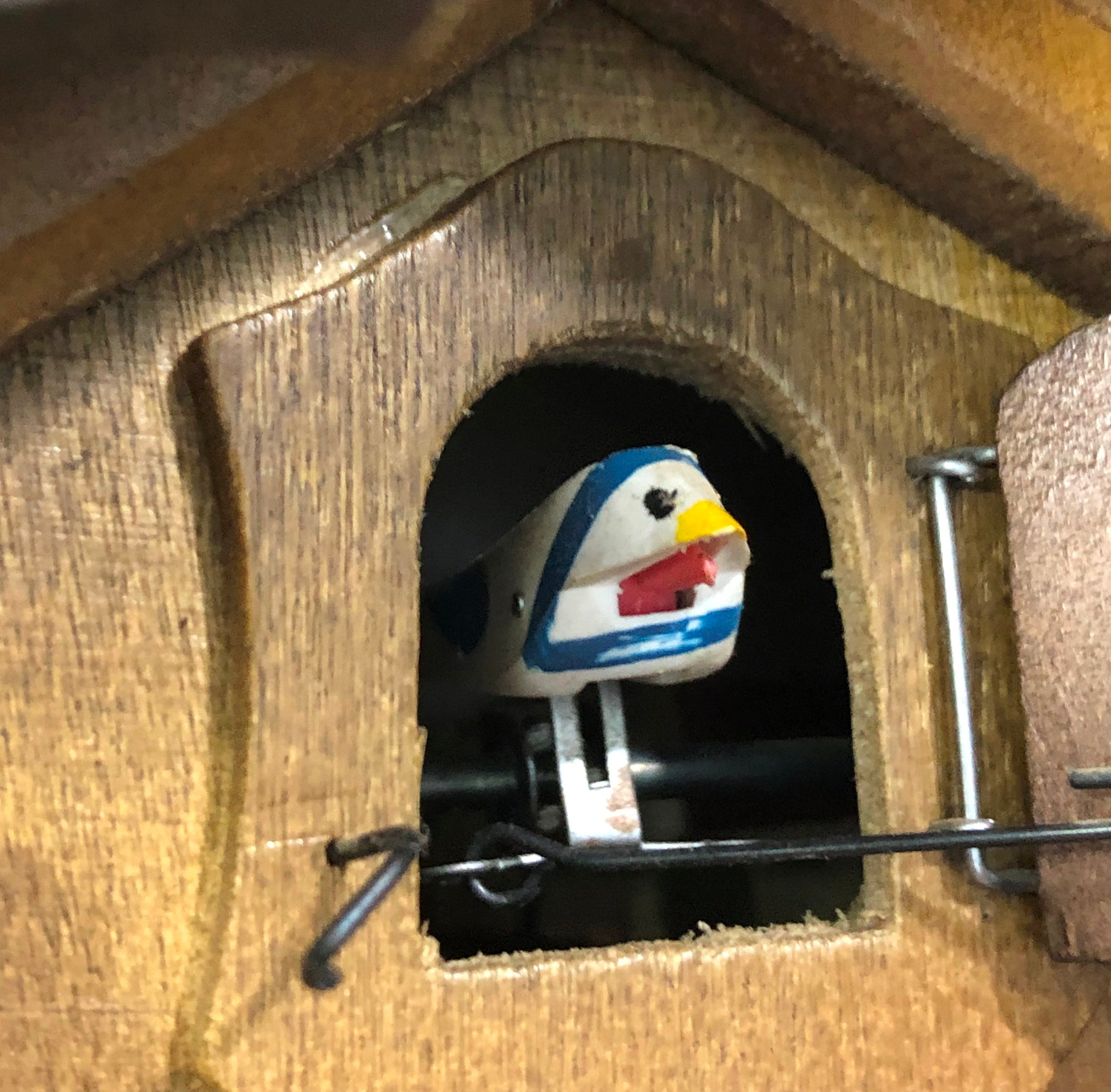 Vintage Original Black Forest Bird Chime Cuckoo Clock | Adelaide Clocks