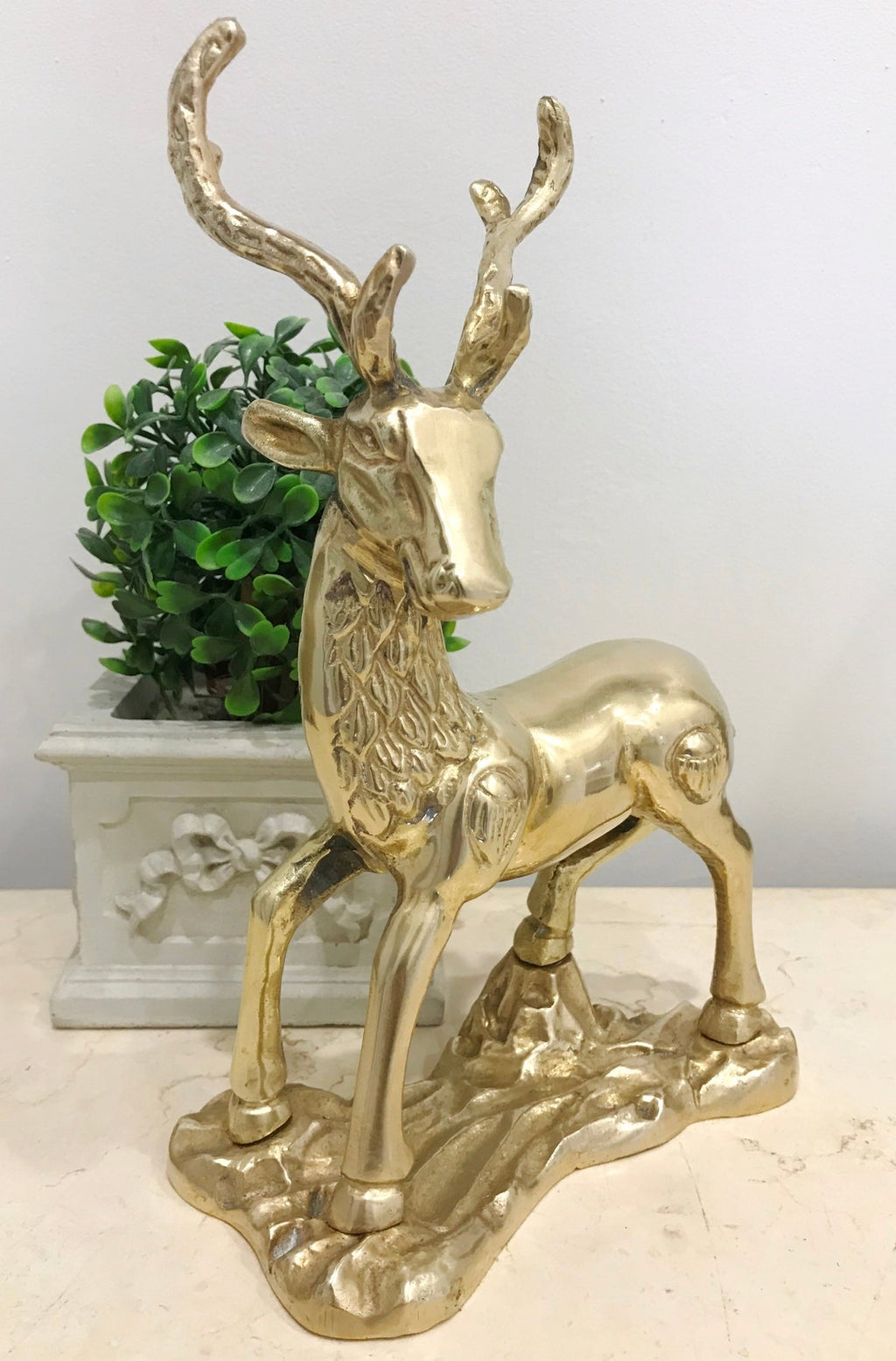 Stag Buck Deer
