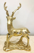 Stag Buck Deer
