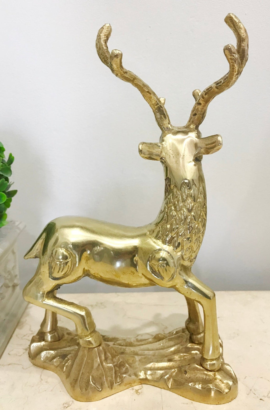 Stag Buck Deer